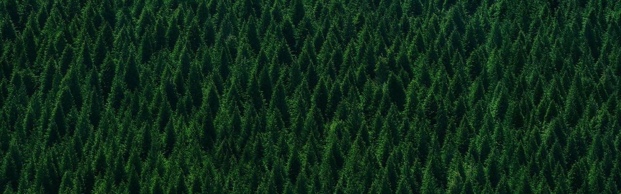 SUSTAINABILITY